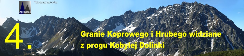 Widok z Kobylej Dolinki